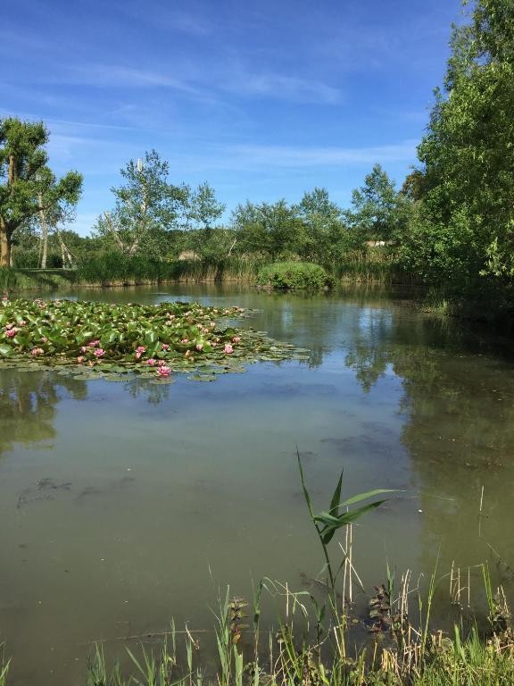Villa Océan Jard Sur Mer, Location de Vacances à Jard-sur-Mer