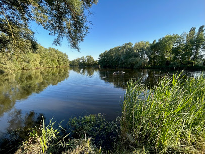 Le Domaine Du Cygne, Location De Vacances à Barst