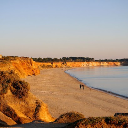 chalet nature pied plage, Location de Vacances à Pénestin