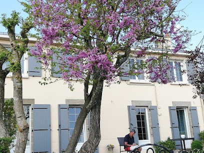 Fleur de Vigne 49 - Chambre d'hôtes, Chambre d'Hôtes à Sèvremoine