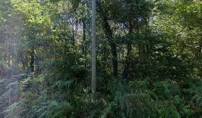 Chambres D'hôtes Et Gîtes Montjean à Soustons, Chambre d'Hôtes à Soustons