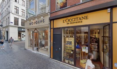 Hébergement, Location de Vacances à Lille