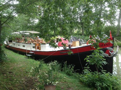 Peniche Caroline, Chambre d'Hôtes à Capestang