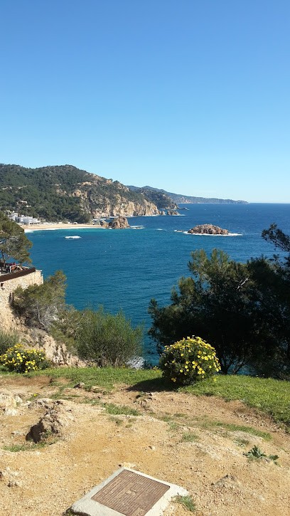 Location vacance, Location de Vacances à Pégairolles-de-l'Escalette