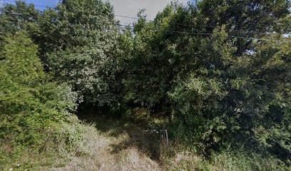 Dumas Michel, Chambre d'Hôtes à Brem-sur-Mer