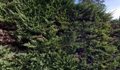 Lou Mas de Carboussan, Chambre d'Hôtes à Mormoiron