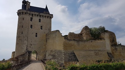 La Closerie Voltaire, Chambre d'Hôtes à Chinon