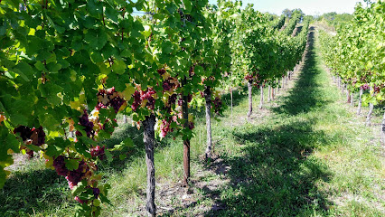 Gîte Des Vignes Obernai Gdv - Résidence Le Clos Des Vignes, Location De Vacances à Obernai
