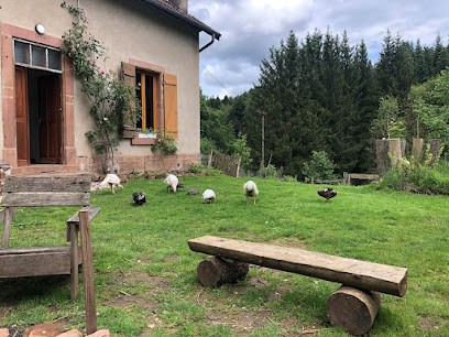 A l'orée de soi - Maison forestière de la Soie - Eco gîte, chambres d'hôtes, camping au pied des Vosges, Chambre d'Hôtes à Saint-Sauveur