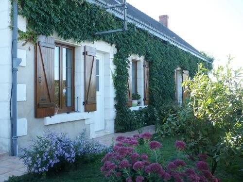 Davaillon Anne Marie, Chambre d'Hôtes à Châtillon-sur-Indre