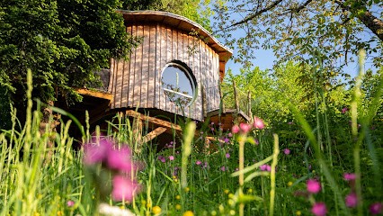 Les Cabanes Perchées Du Grand Ballon, Chambre d'Hôtes à Goldbach-Altenbach