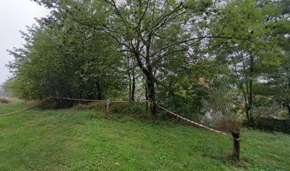 Le Robinson de Cleyriat, Chambre d'Hôtes à Salavre