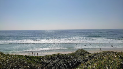 Biscarent Cap-Soleil, Location De Vacances à Biscarrosse