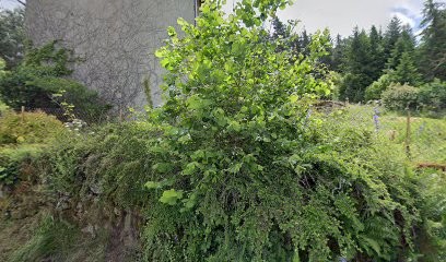 Les Trois Chats, Chambre d'Hôtes à Saillant