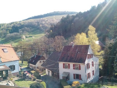 Chambres D'hôtesles-gentianes, Chambre d'Hôtes à Sondernach