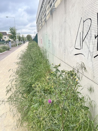 Chez Tuibi, Maison d'Hôtes à Nanterre