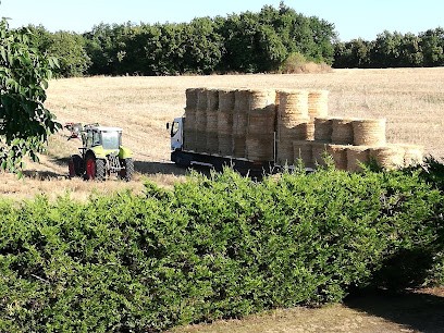 La BRUGUE, Chambre d'Hôtes à Montaigu-de-Quercy