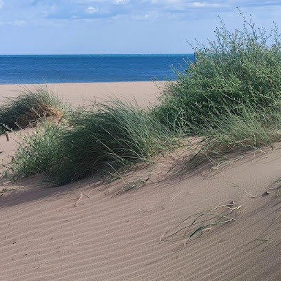 Les Palmiers De Valras-Plage, Location de Vacances à Valras-Plage