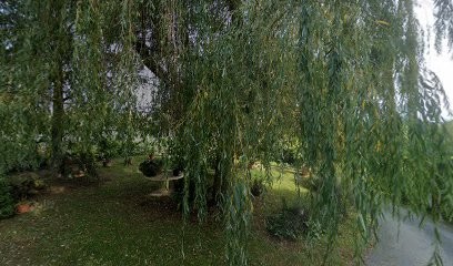 Capy Jardin Jacqueline, Chambre d'Hôtes à Gourdon