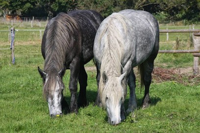 Escargots Autrement, Chambre d'Hôtes à Thionne