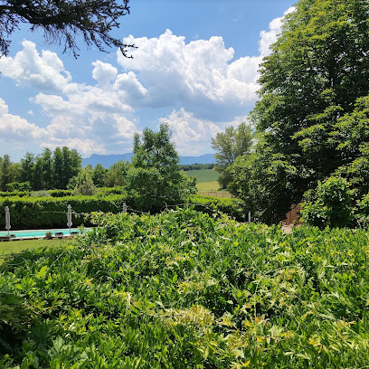 Gîtes / Appartements Les Glycines, Location De Vacances à Mison