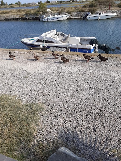 La Petite Maison Au Bord Du Canal, Location de Vacances à Frontignan