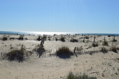 Entre Mer Et Lagune, Location de Vacances à Marseillan