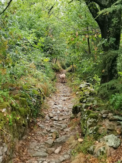 La Ferme Du Monteil, Chambre d'Hôtes à Jaujac