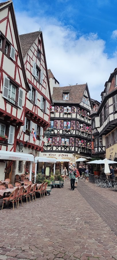 Location Les papillons de la bruche, Location de Vacances à Dinsheim-sur-Bruche