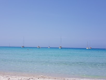 SVD Conciergerie Corse, Location de Vacances à Linguizzetta