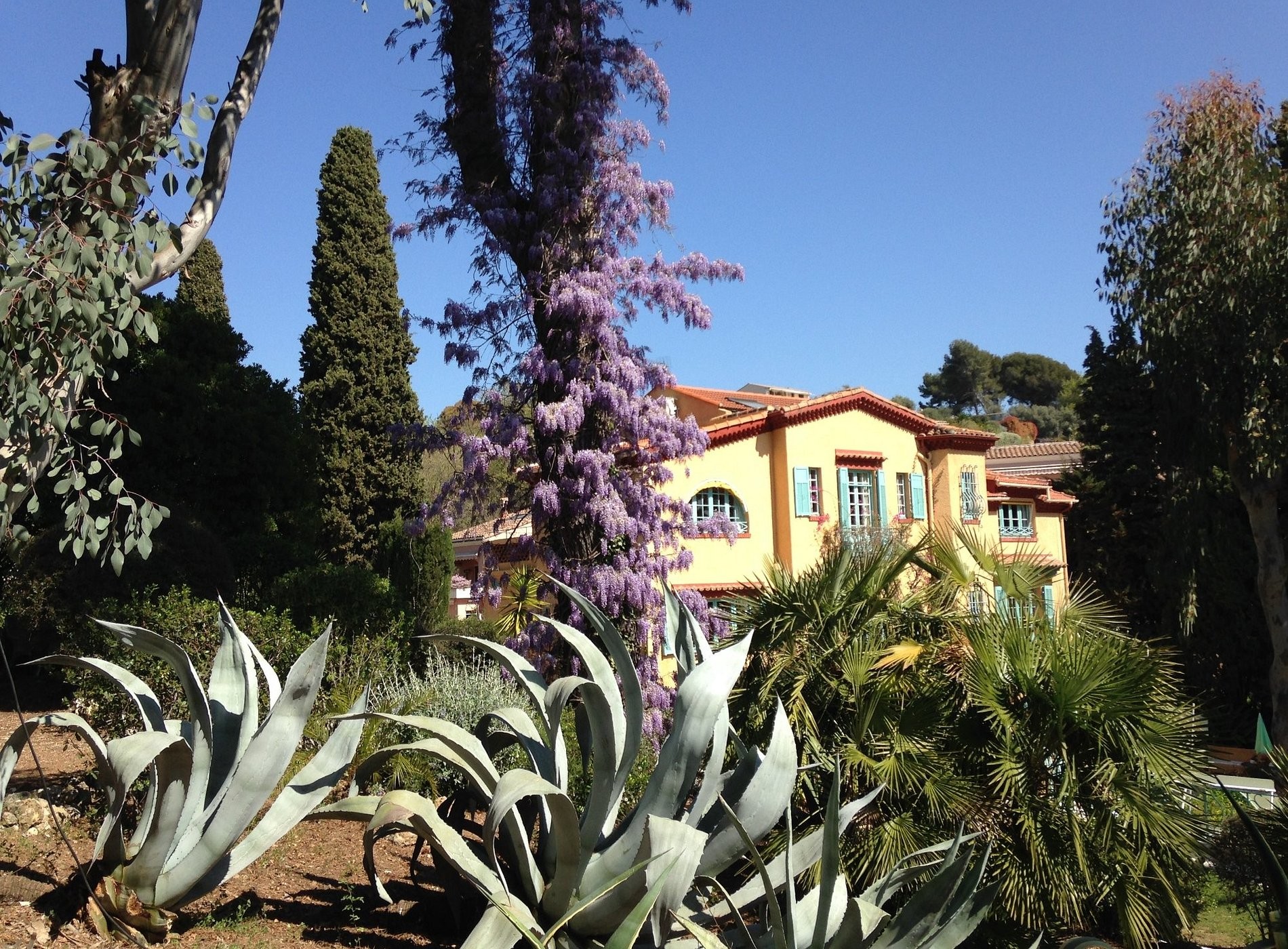 Les Jardins Fragonard, Maison d'Hôtes à Cagnes-sur-Mer