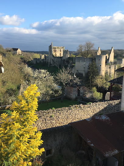 Chez Fred Avec Vue Sur Le Château Chambre D'hôtes à Angles-sur-l'Anglin