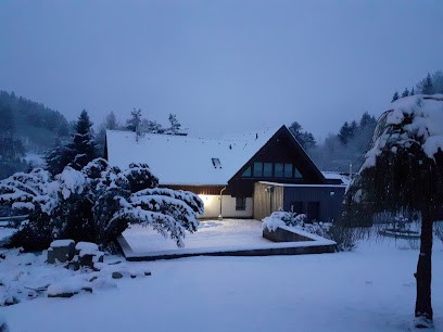 La Villa Moraine, Location de Vacances à Soultzeren