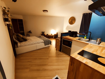 Les Appartements Du Pont Location De Vacances à Limoges