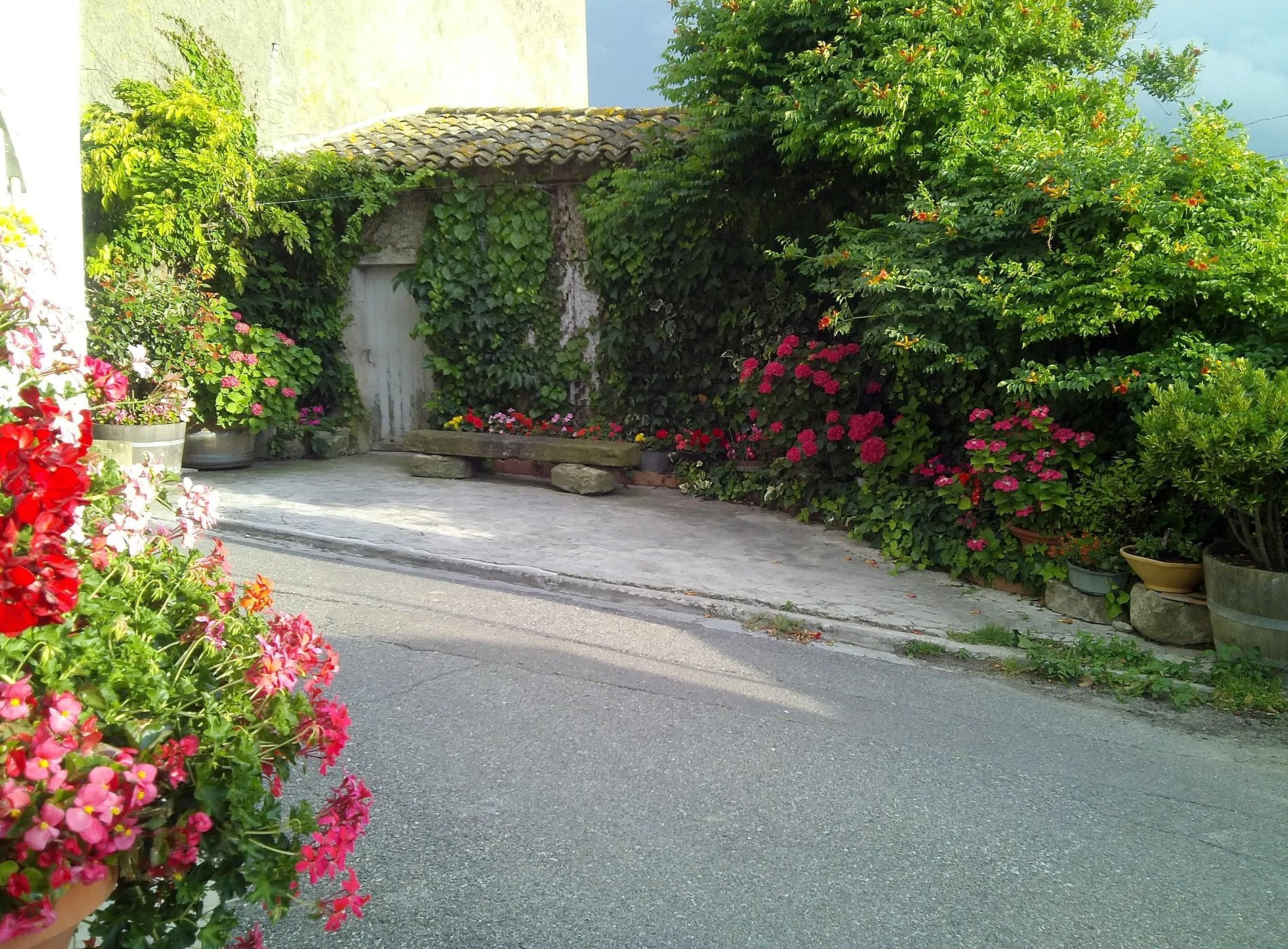 Riverside Home Cottage, Chambre d'Hôtes à Trèbes