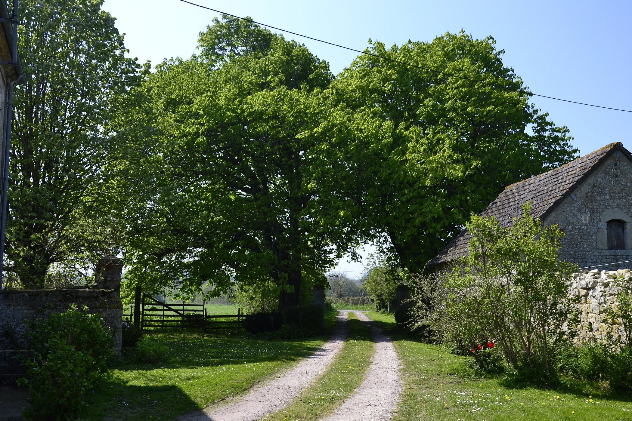 MAISON D'HÔTE LA RIVIERE , Chambres D'hôtes & Gîte - Utah Beach, Chambre d'Hôtes à Sainte-Marie-du-Mont