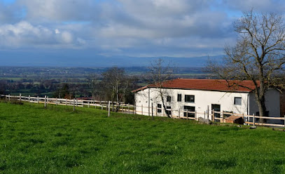 Gites Du Domaine Du Chaffat, Maison D'hôtes à Pouilly-lès-Feurs