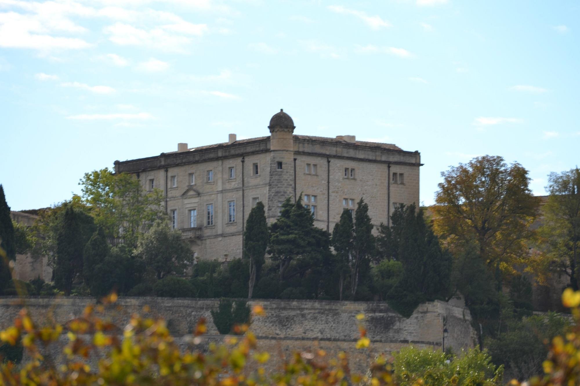 Le Château de Saint Siffret, Chambre d'Hôtes à Saint-Siffret