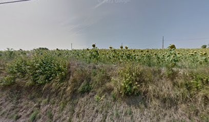 La Petite Plaine, Chambre d'Hôtes à Montaigu-de-Quercy