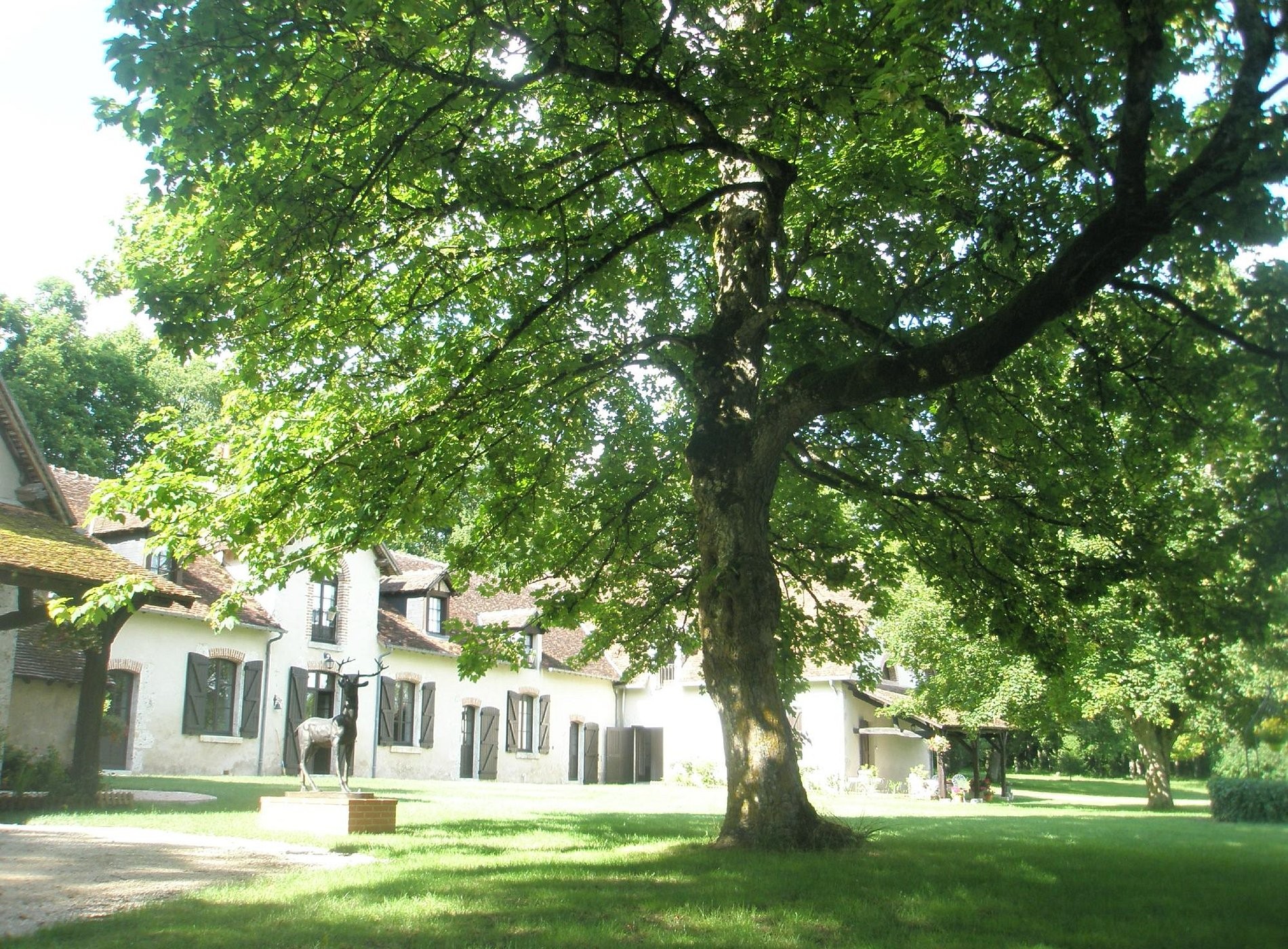 Le Clos du Cerf, Chambre d'Hôtes à Cellettes