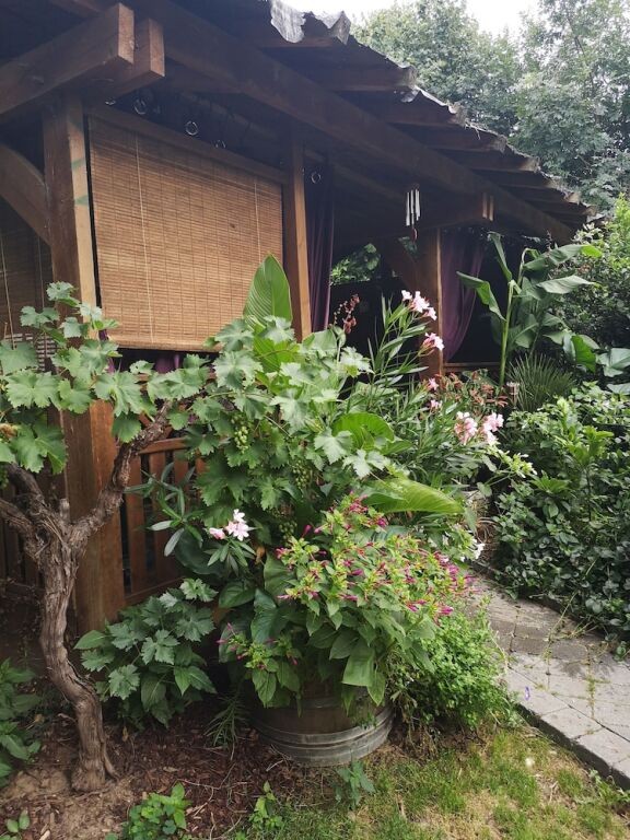 O'Claire, Chambre d'Hôtes à Saint-Martin-sur-Écaillon