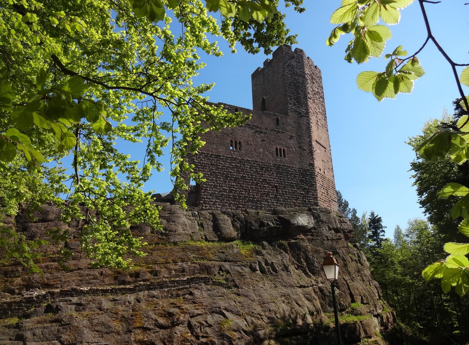 Le Chant Des Sources, Chambre D'hôtes à Wangenbourg-Engenthal