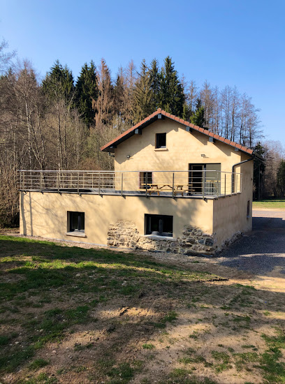 La Ruine (Gites Dans Les Vosges), Location De Vacances à Ban-de-Laveline