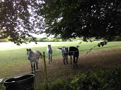 Château de Chaunac, Chambre d'Hôtes à Naves