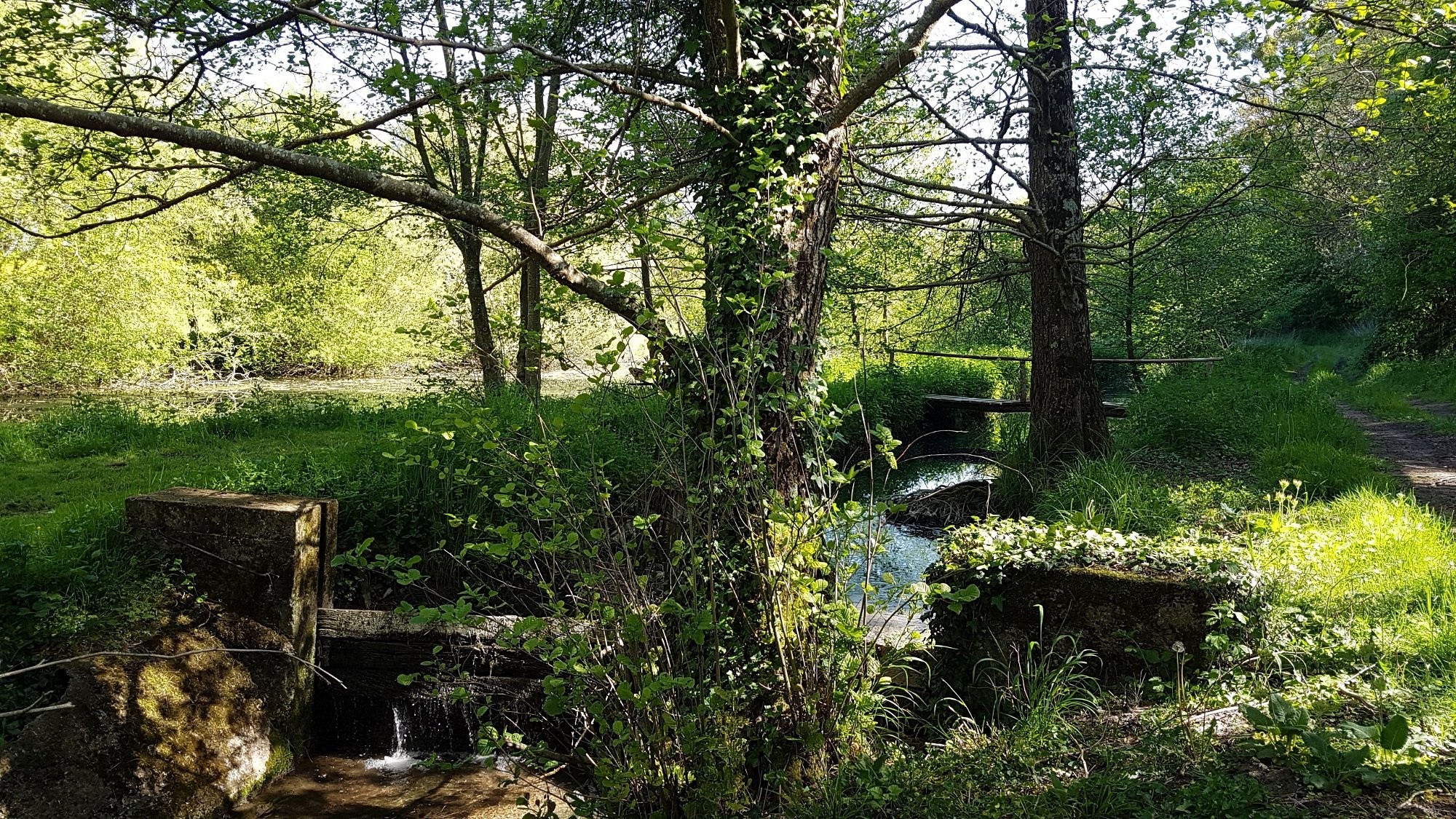 Au Chat qui Pêche, Chambre d'Hôtes à Angé