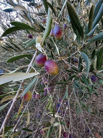 Aiguallier, Maison d'Hôtes à Montclus