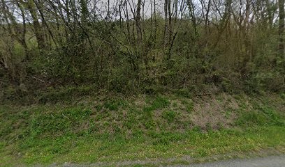 Delon Pinczon Du Sel Delphine, Chambre d'Hôtes à Penne