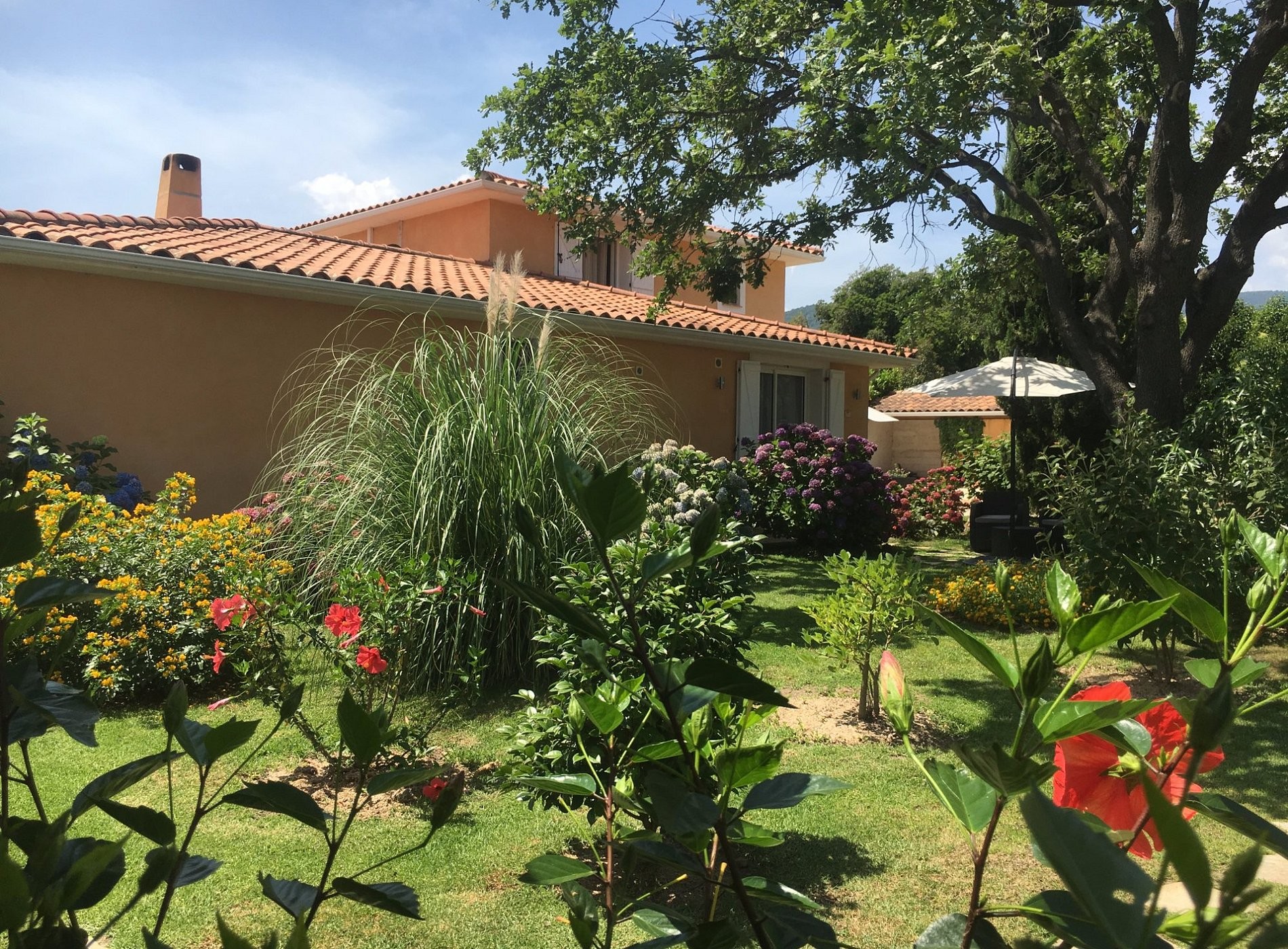 Casa Fiorita, Chambre d'Hôtes à Ventiseri