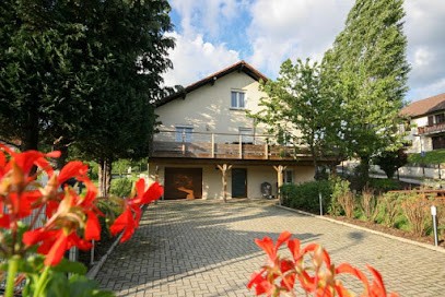 LES CHALETS VOSGIENS, Location de Vacances à Ramonchamp