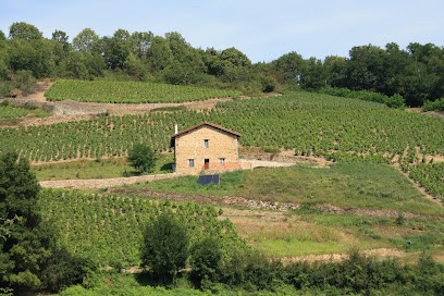La Combe Chaudaire, Chambre d'Hôtes à Beaujeu